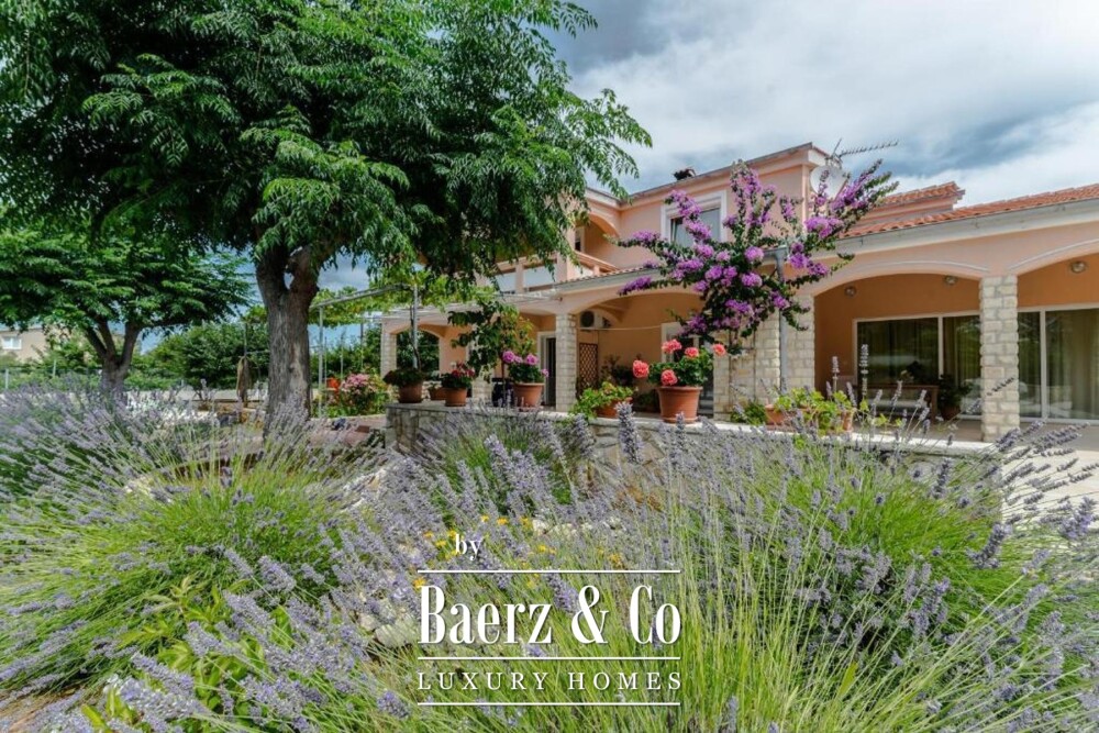 Foto 6 1000w